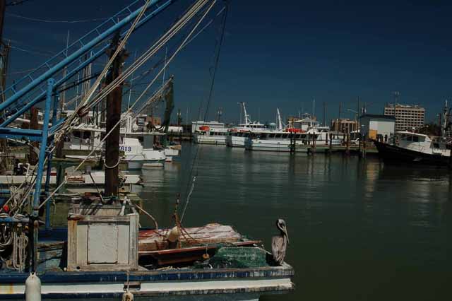Galveston harbor